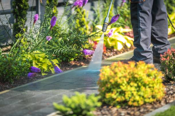 Bokeelia, FL Pressure Washing Services Company